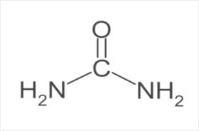 Urea Structure