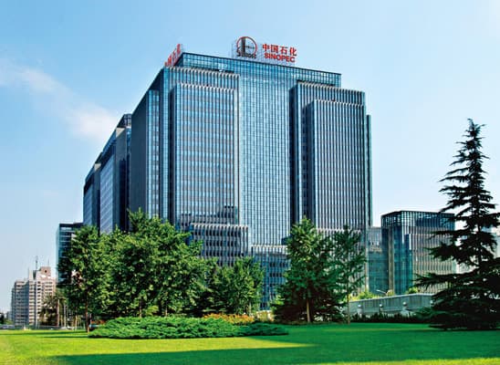 Founded in 2000, Sinopec, headquartered in Beijing, is a global leader in petrochemicals, generating over $400 billion in annual revenue. It is known for producing HDPE and LDPE polyethylene grades. The company is expanding its production capabilities and focusing on sustainability initiatives.