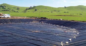 HDPE Geomembranes