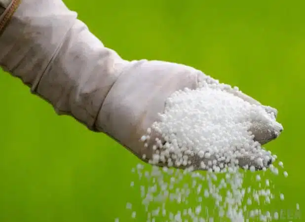 urea fertilizer