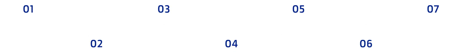 Purchase and Export Process​